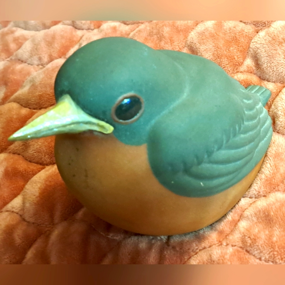 Nicodemus Robin